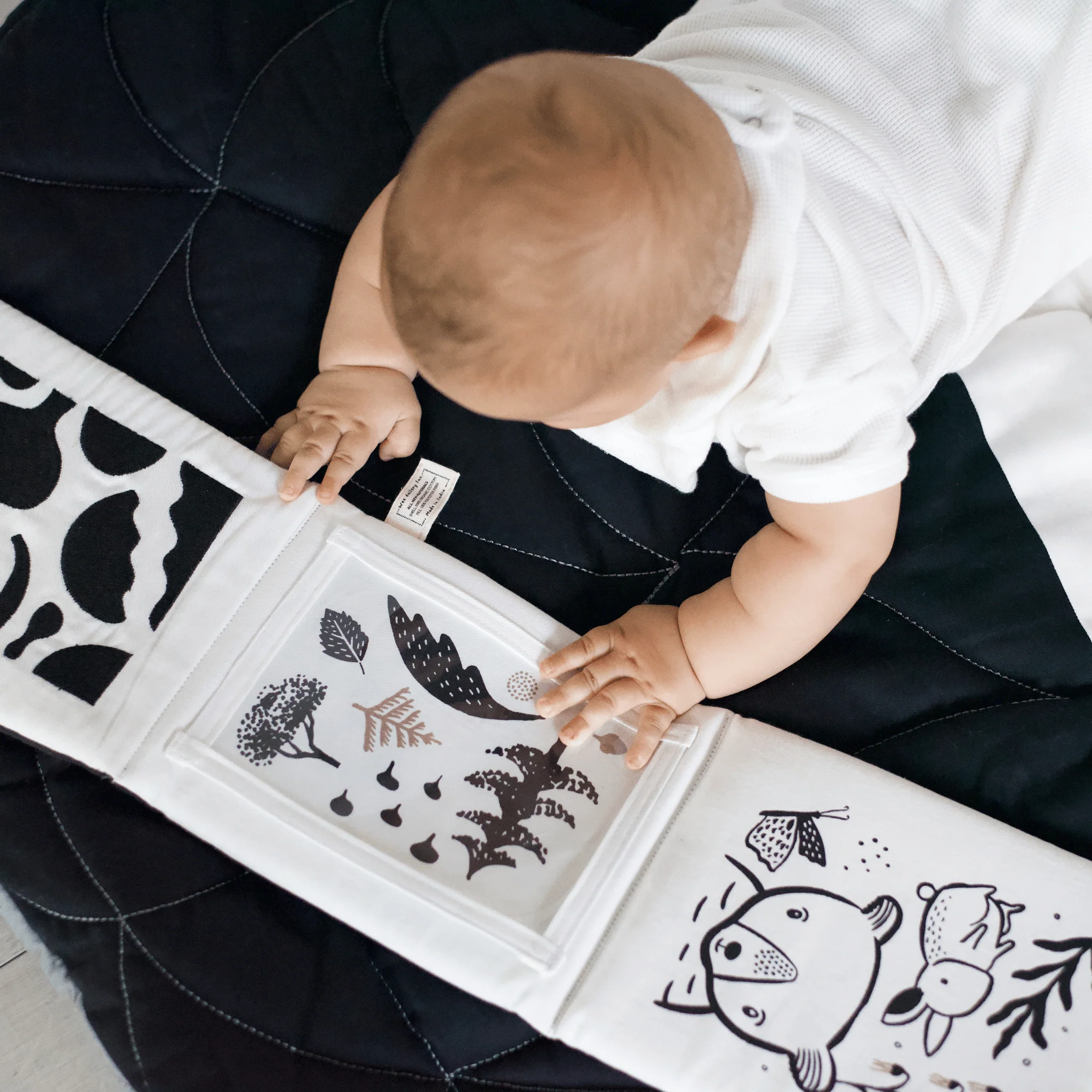 Wee Gallery Newborn Baby Gift Set - Safari - Image 5