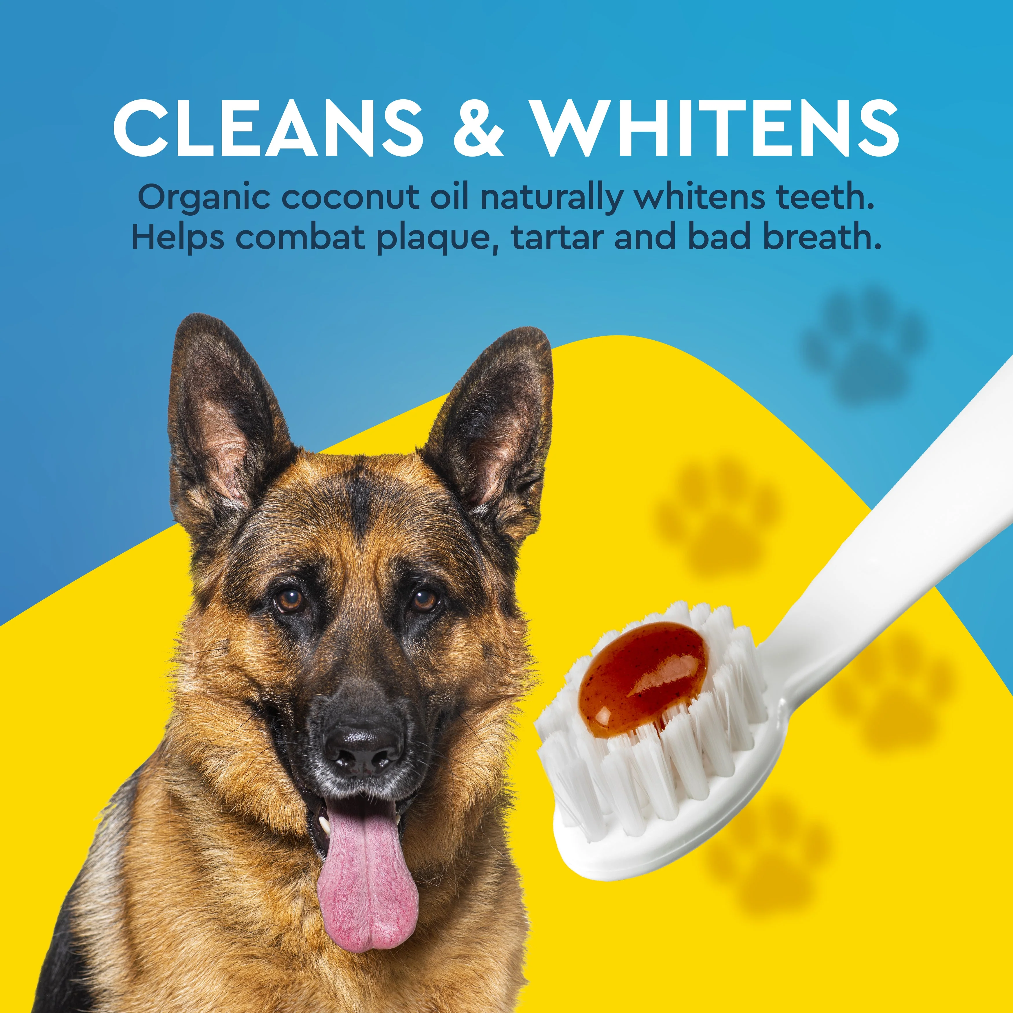 Radius Organic Canine Dental Kit with FREE Critter Case - Image 4