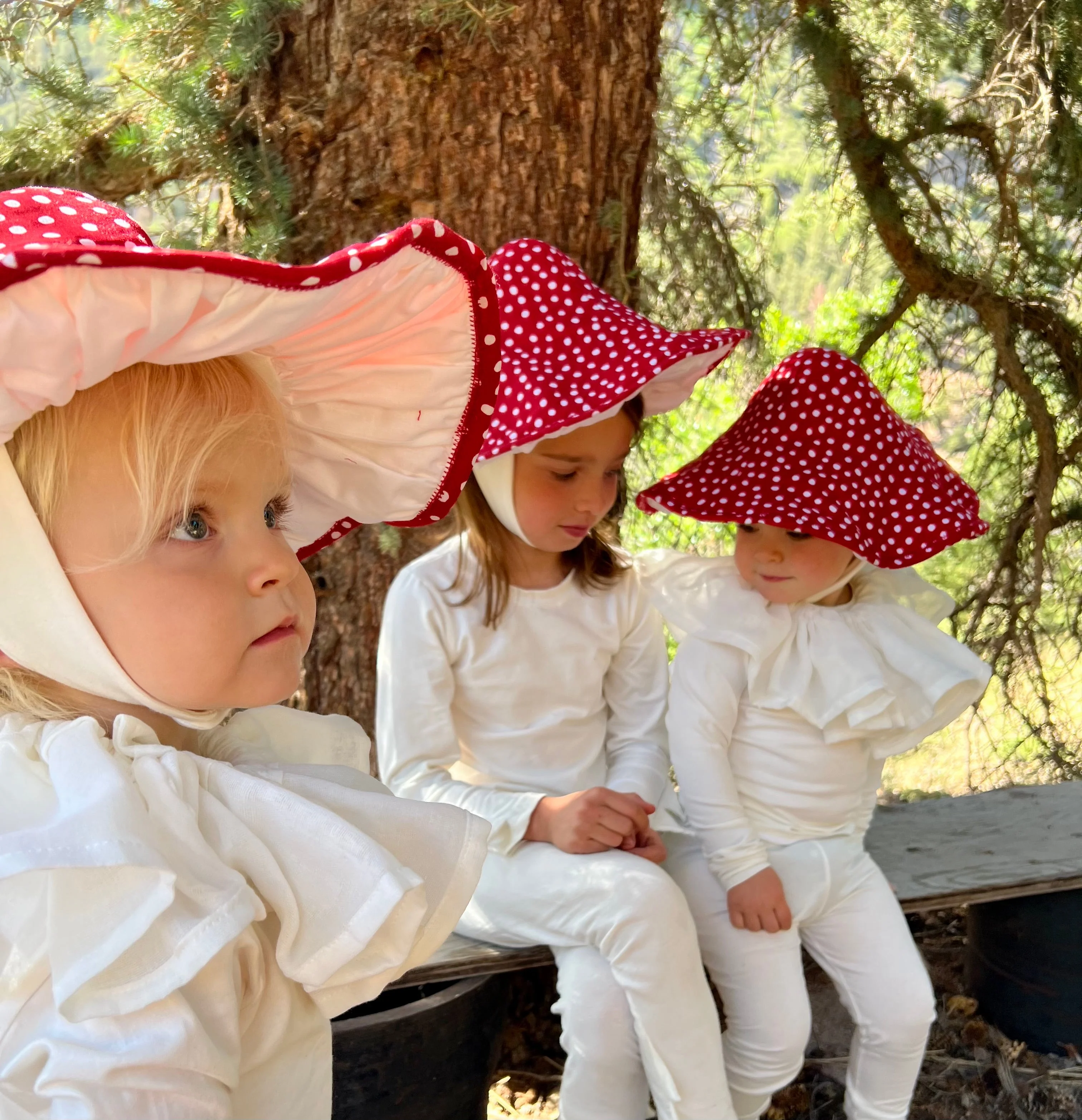 Band of the Wild Toadstool Pajama Costume - Image 3